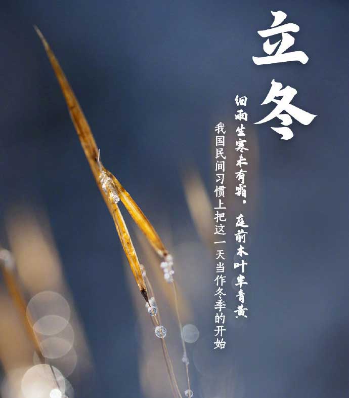 2025年澳门免费原料网