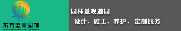 2025年澳门免费原料网
