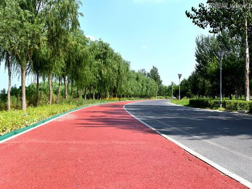 04.jpg