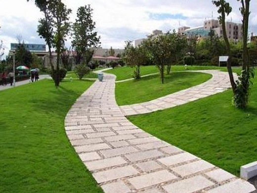 08.jpg